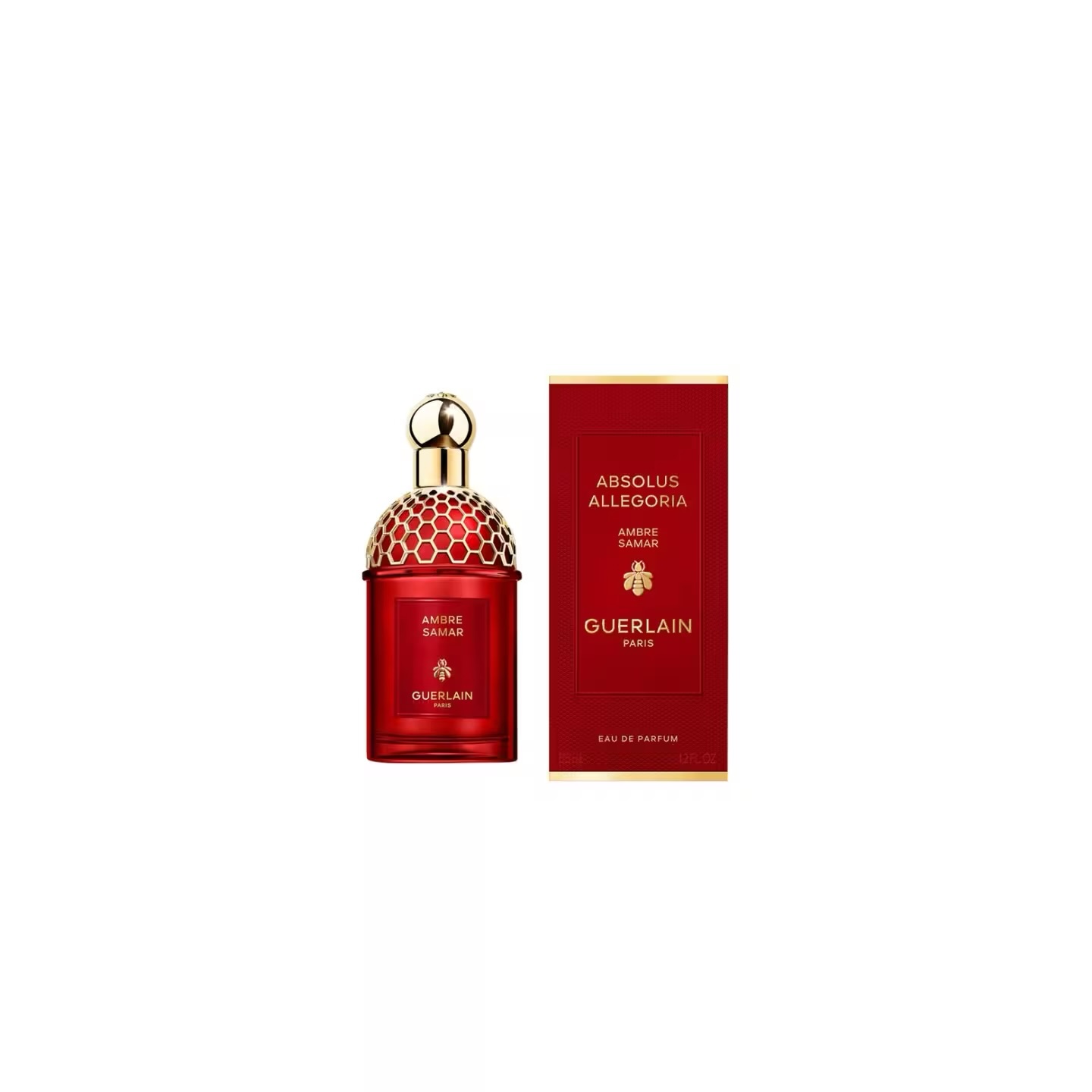 Ambre samar guerline