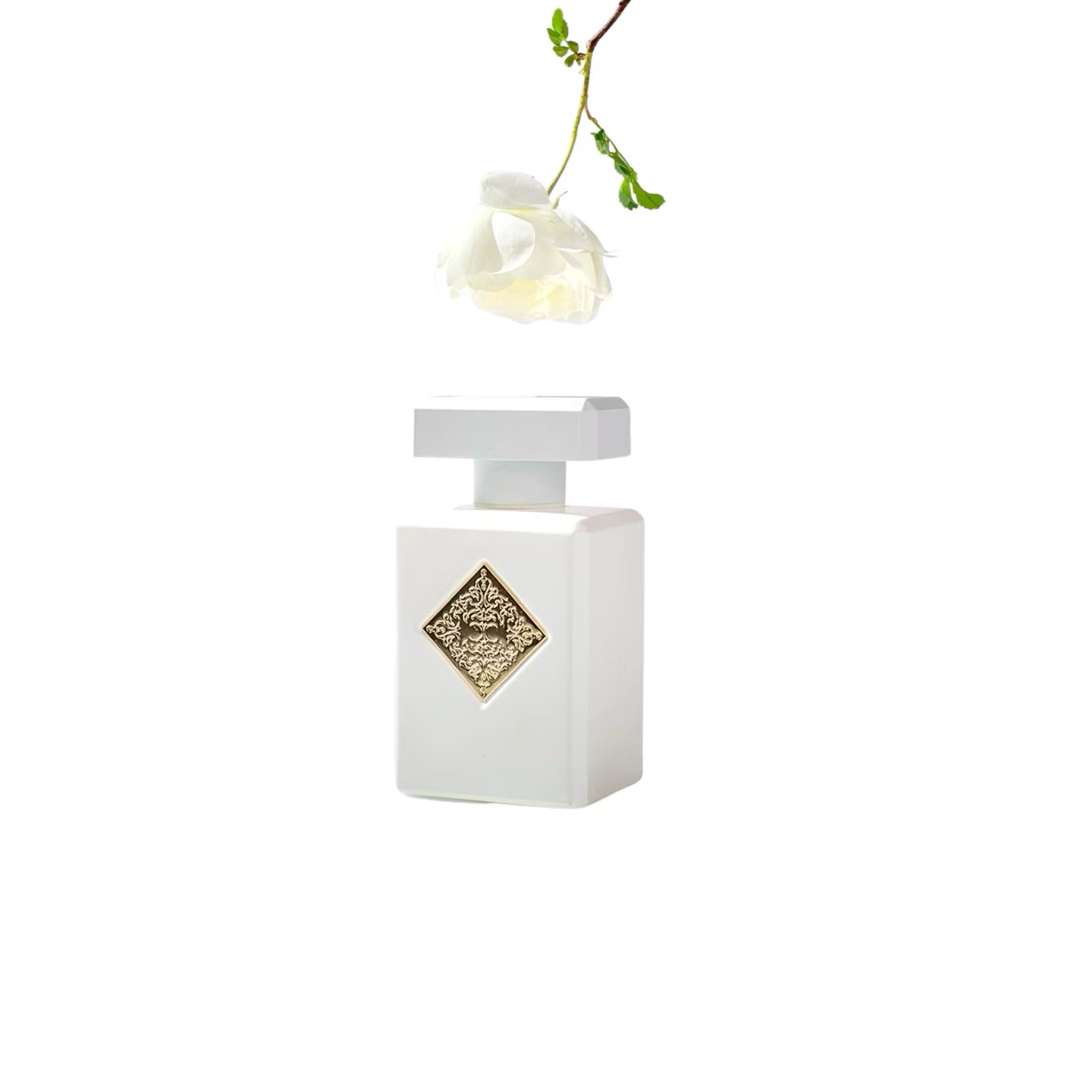 Musk Therapy Initio